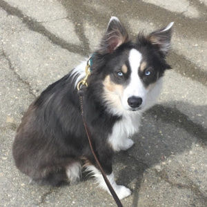 Meet your Posher, Phia